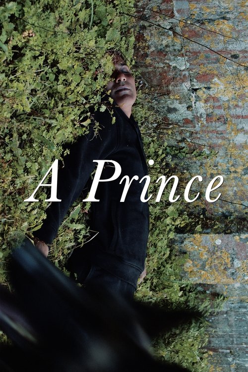 Movie poster for A Prince (2023)
