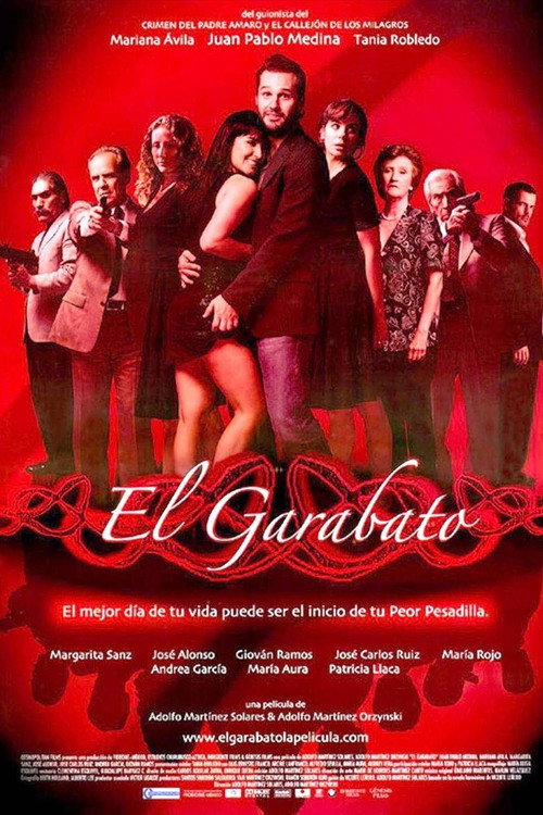 Movie poster for El Garabato (2008)