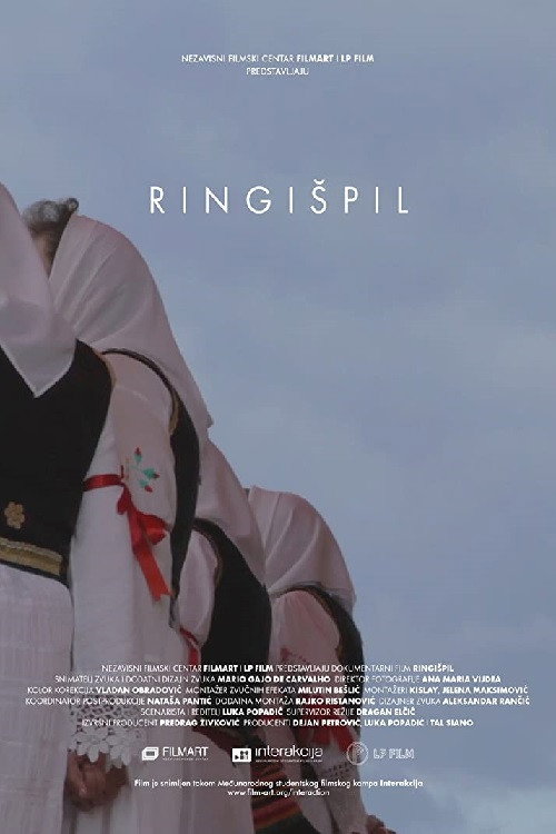 Movie poster for The Carousel (2015)