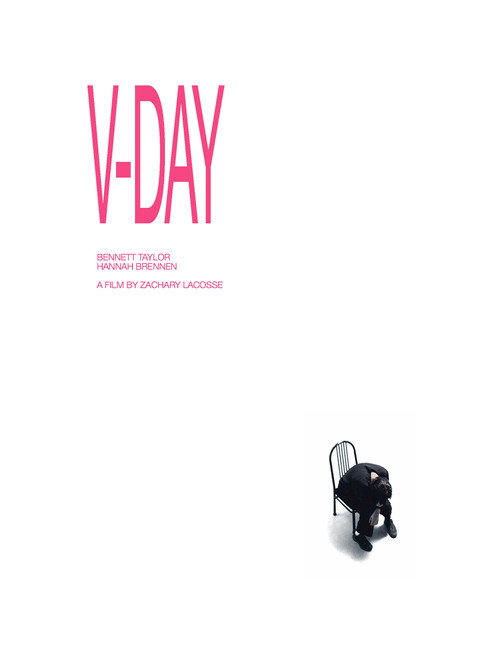 Movie poster for V-DAY (2024)