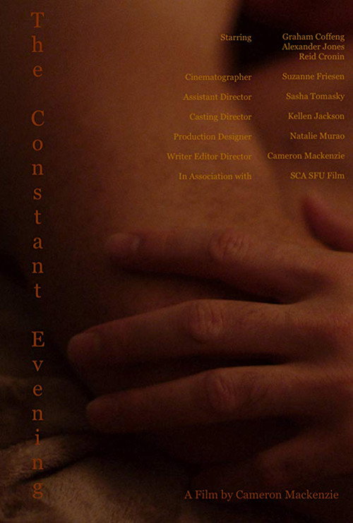 Movie poster for The Constant Evening (2018)