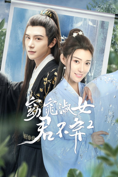 Series poster for 窈窕淑女君不弃2