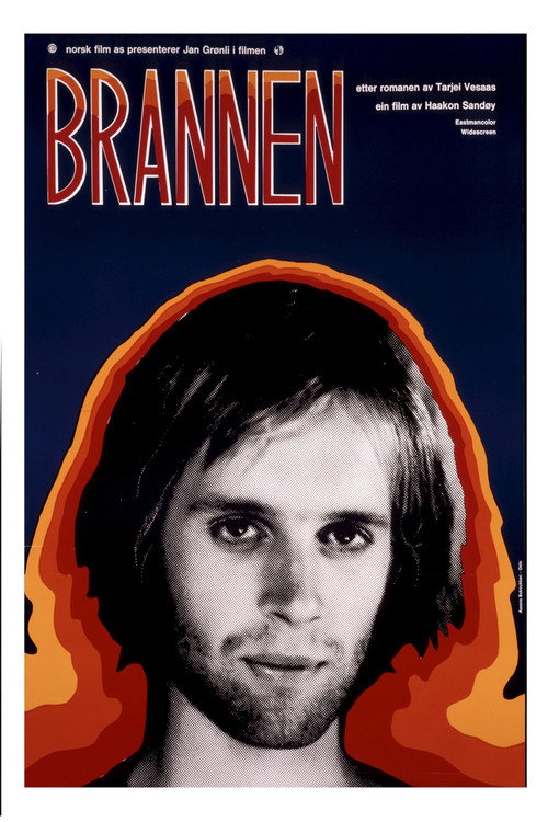 Movie poster for The Fire (1973)
