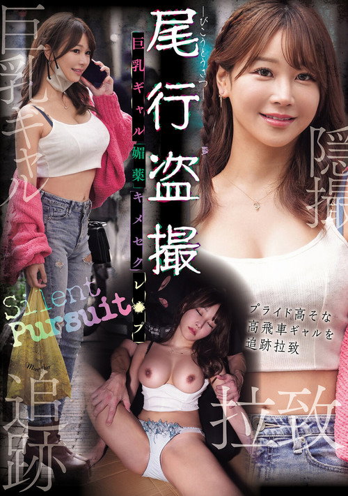 Movie poster for 尾行盗撮 巨乳ギャル媚薬キメセクレ×プ (2026)