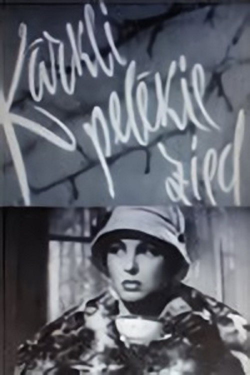 Movie poster for Kārkli pelēkie zied (1961)