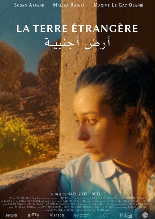 Movie poster for The foreign land