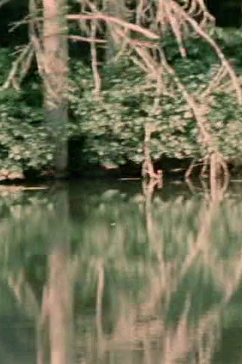 Movie poster for Porter Springs 3 (1977)