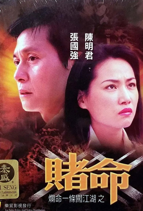 Movie poster for Gamble For Life (2003)