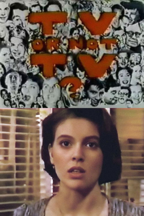 Movie poster for The American Film Institute Presents: TV or Not TV? (1990)