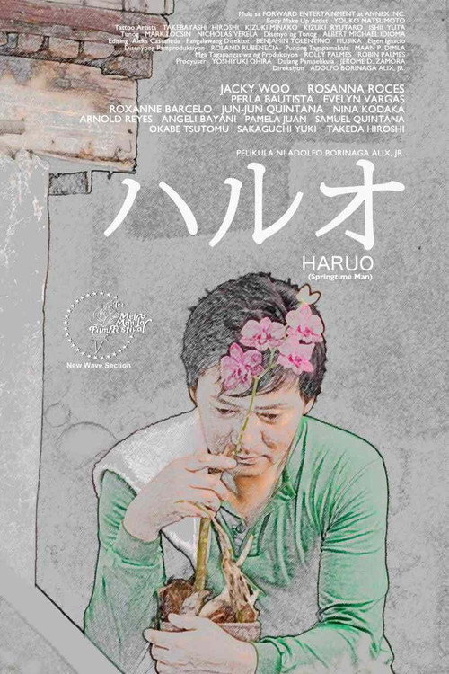 Movie poster for Springtime Man (2011)