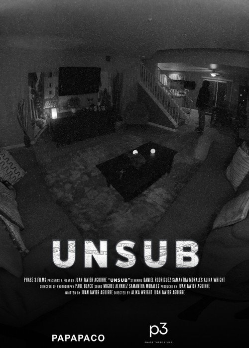 Movie poster for UNSUB (2024)