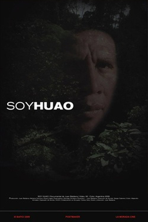 Movie poster for Soy Huao (2009)