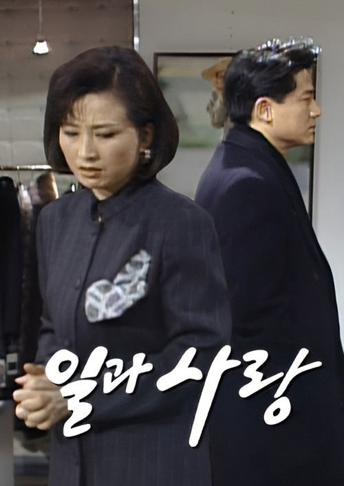 일과 사랑 poster