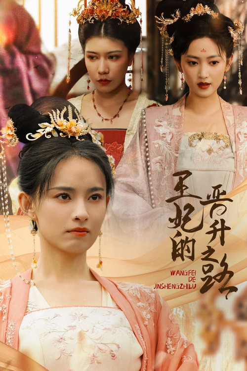 王妃的晋升之路 poster