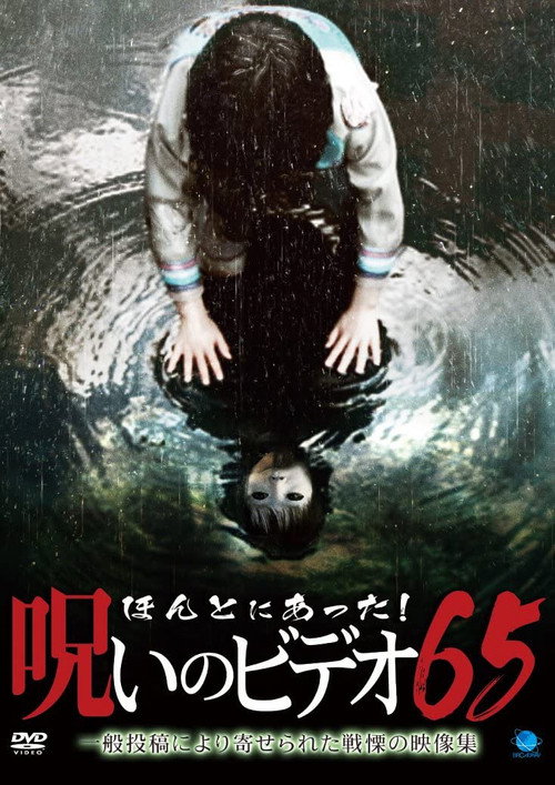 Movie poster for Honto Ni Atta! Noroi No Video 65 (2015)