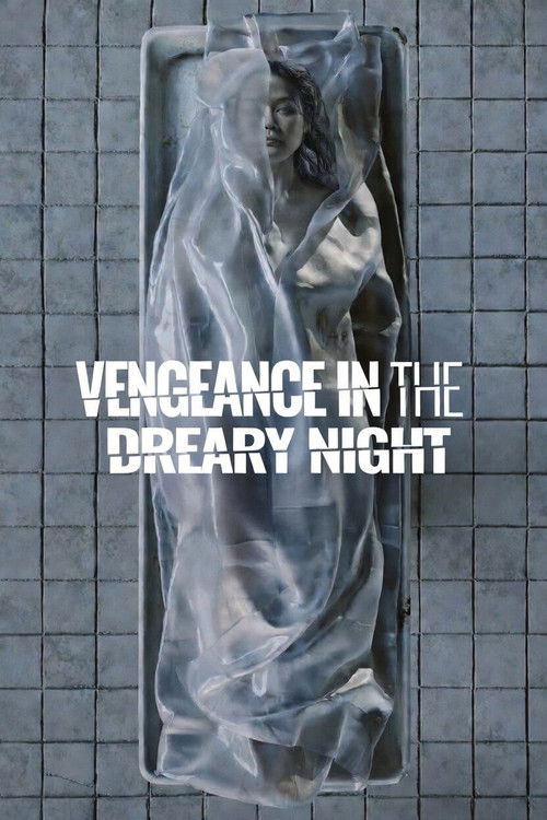 Movie poster for Vengeance in the Dreary Night (2025)