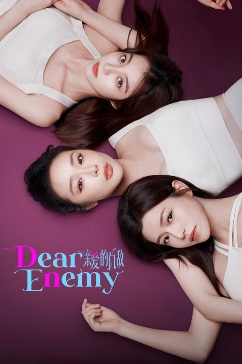 Series poster for Dear Enemy (2025)