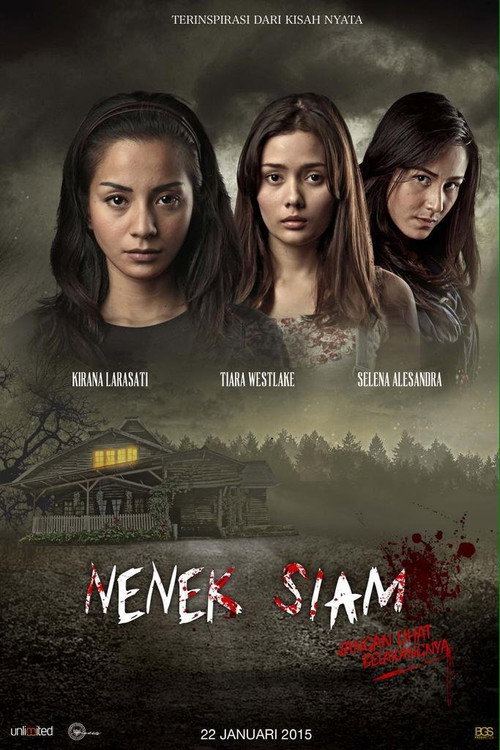 Movie poster for Nenek Siam (2015)