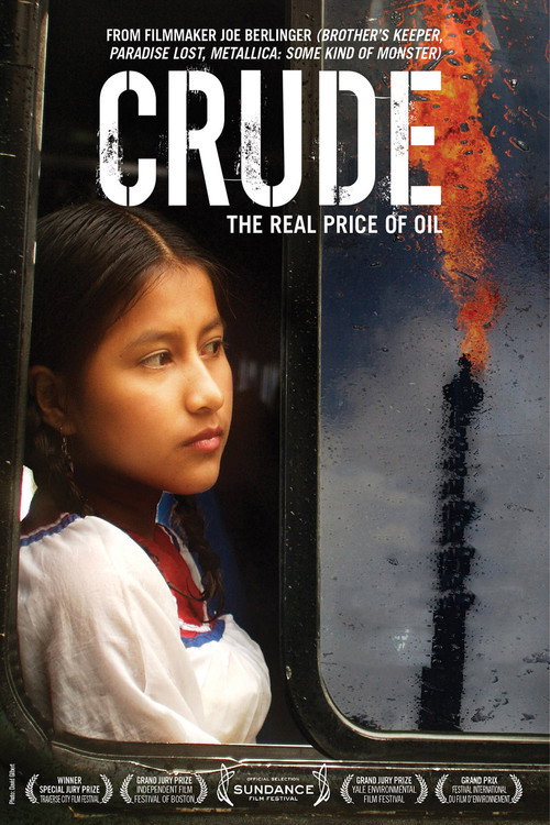 Movie poster for Crude (2009)