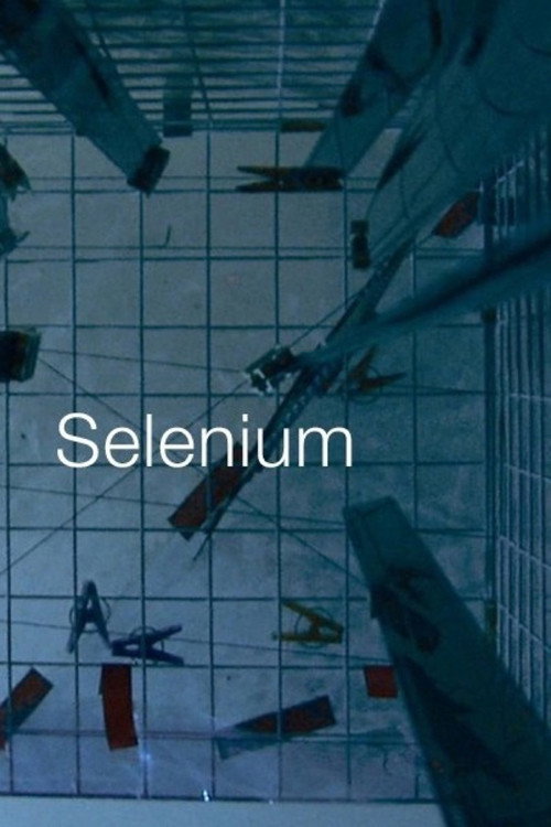 Movie poster for Selenium (2016)