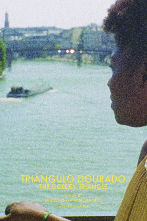 Movie poster for The Golden Triangle (2014)