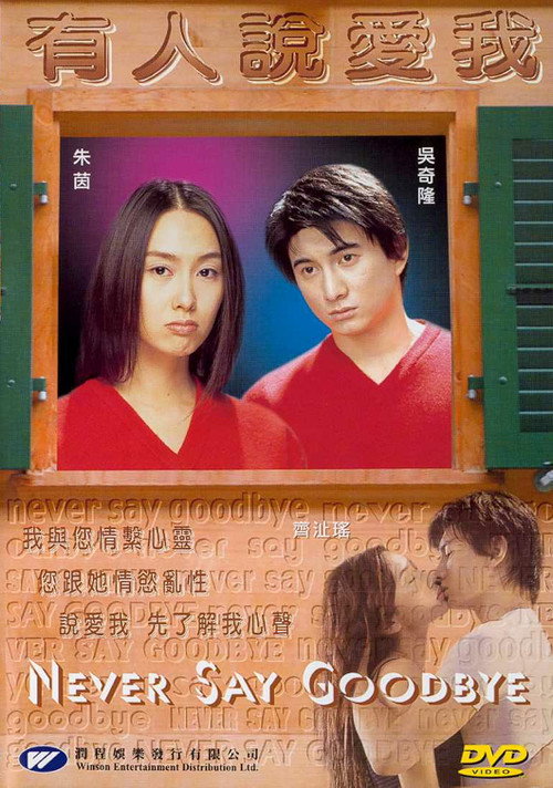Movie poster for Never Say Goodbye (2001)