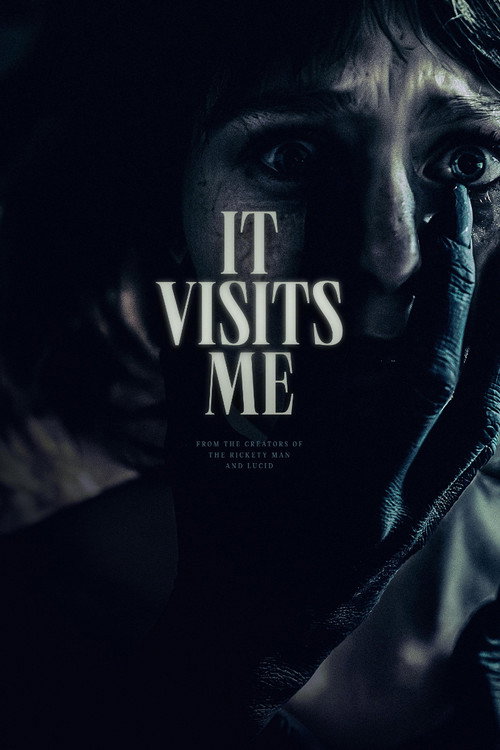 Movie poster for It Visits Me (2024)
