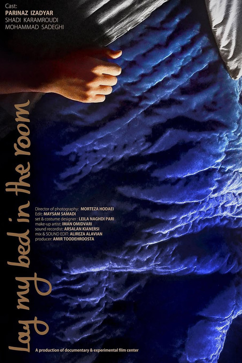 Movie poster for Lay My Bed in the Room (2015)
