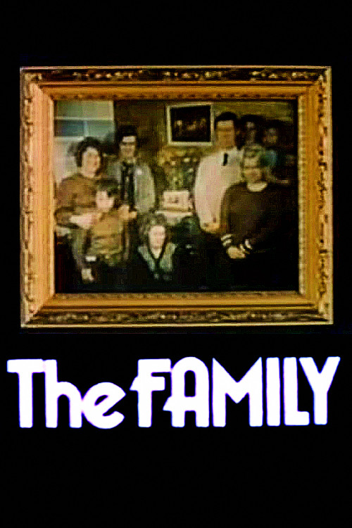 The Family poster