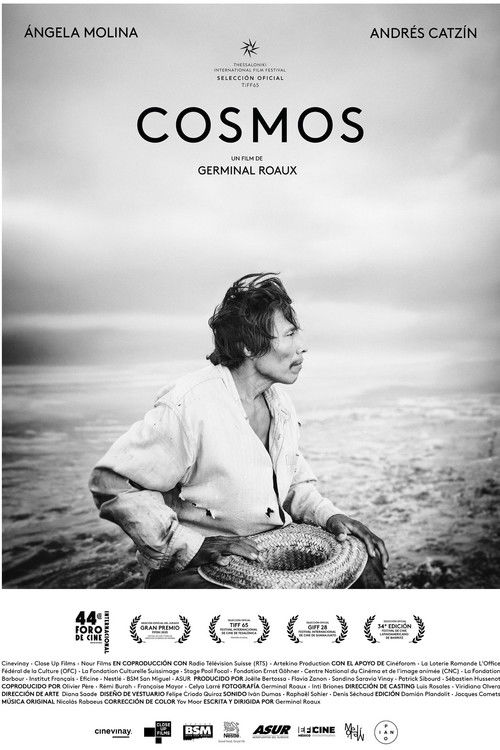 Movie poster for Cosmos (2026)