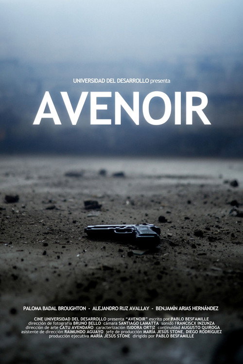 Movie poster for Avenoir