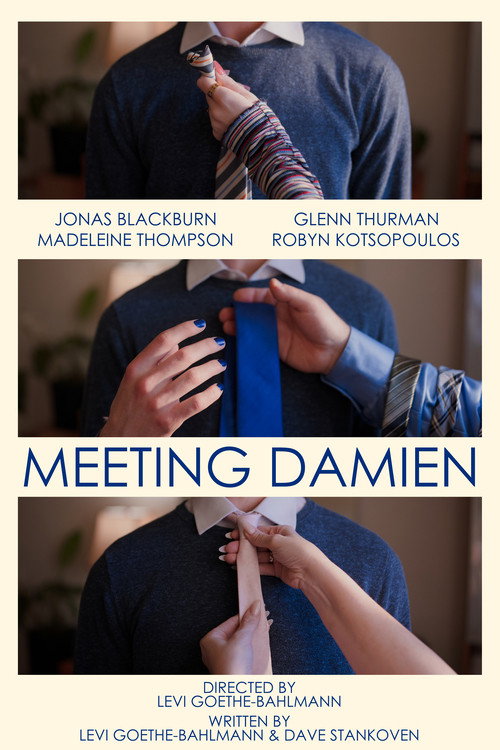 Movie poster for Meeting Damien