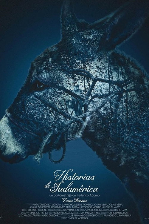 Movie poster for Stories from South America (2024)