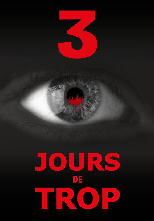 Movie poster for 3 jours de trop... (2026)