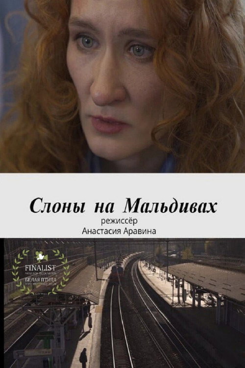 Movie poster for Слоны на Мальдивах (2025)