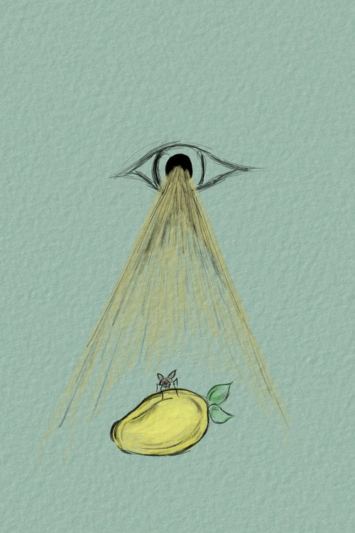 Movie poster for To Be A Fly On Your Mango (2022)