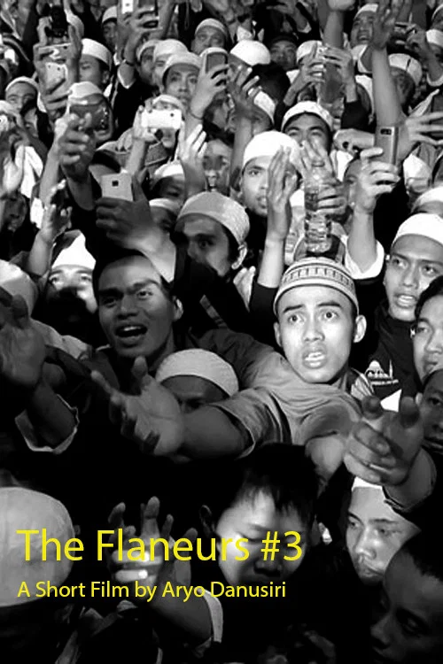 Movie poster for The Flaneurs #3 (2013)
