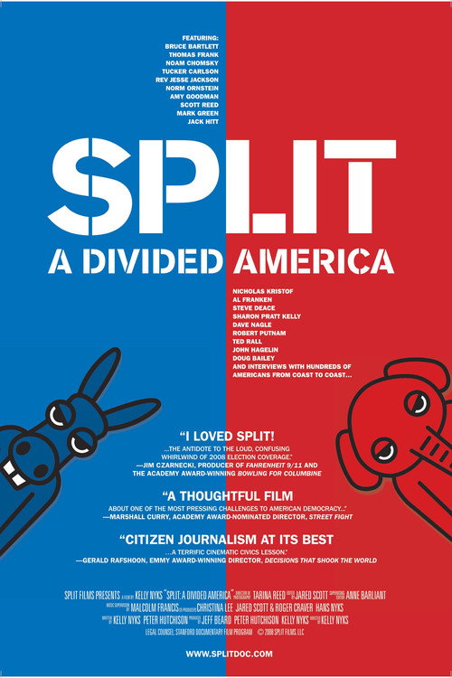 Movie poster for Split : A Deeper Divide (2014)