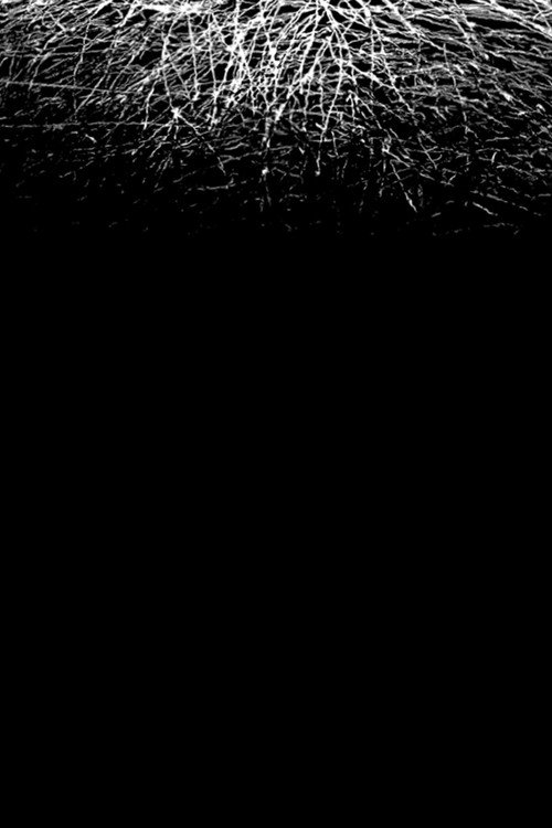 Movie poster for For When I Think, There is This Heaviness That I Would Rather You Not Carry (2025)