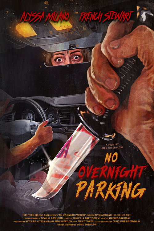 No Overnight Parking poster