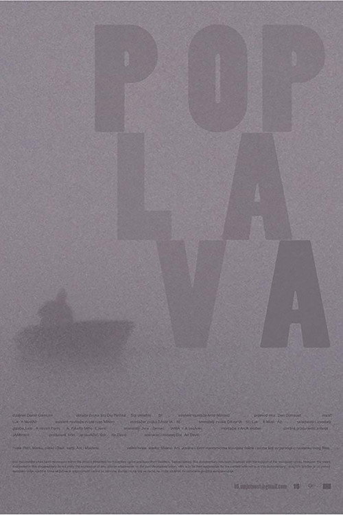 Movie poster for The Flood (2010)