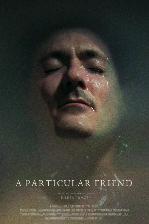 Movie poster for A Particular Friend (2023)
