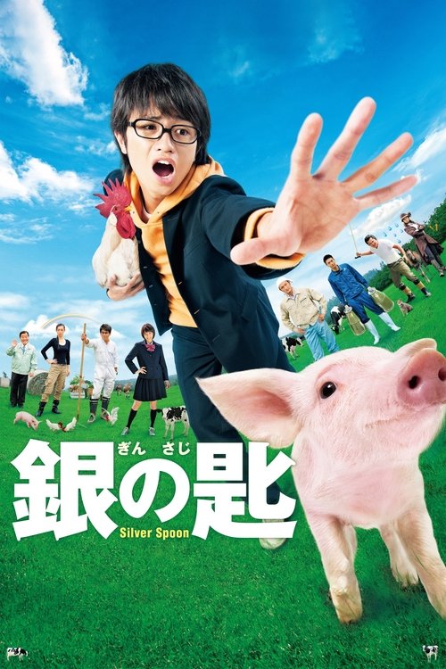 Movie poster for Silver Spoon (2014)