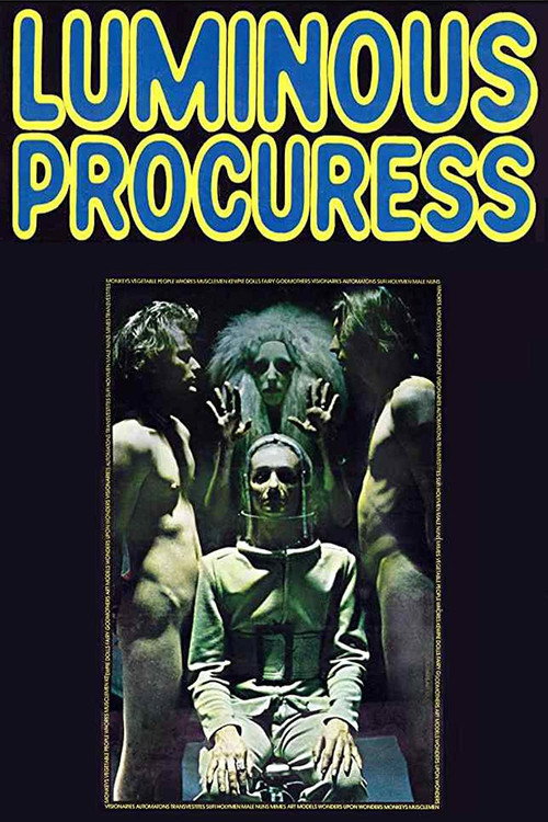 Movie poster for Luminous Procuress (1971)