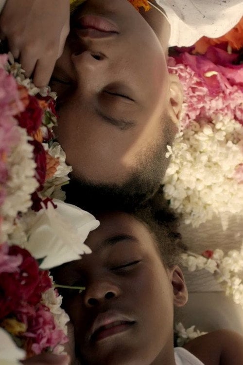 Movie poster for Minerva's Lilies (2016)