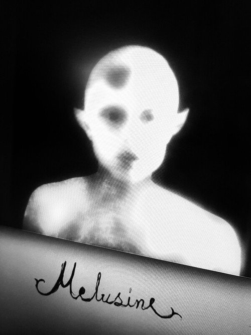 Movie poster for Melusine (2024)