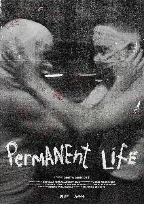 Movie poster for Permanent Life (2025)