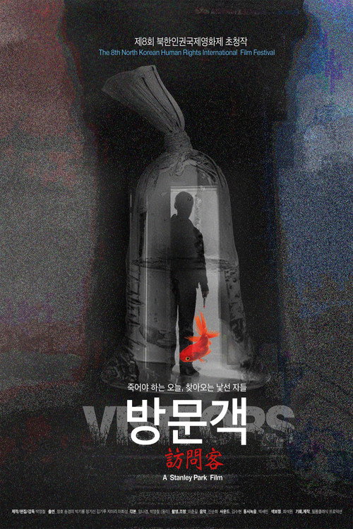 Movie poster for Visitors (2020)
