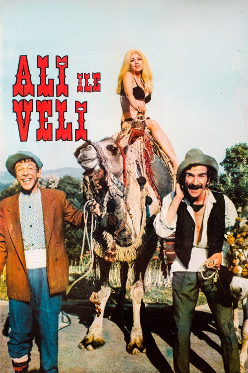 Movie poster for Ali ile Veli (1970)