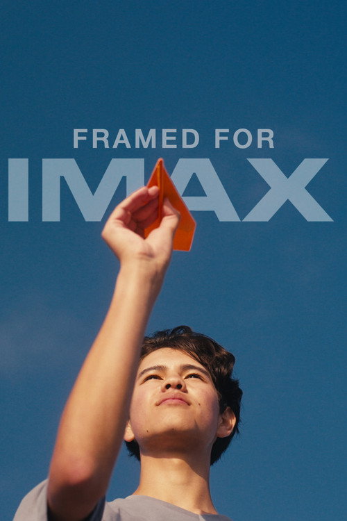 Movie poster for How to Fly